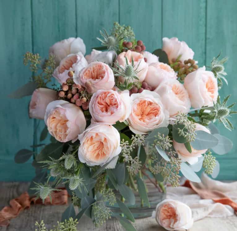 David Austin Roses