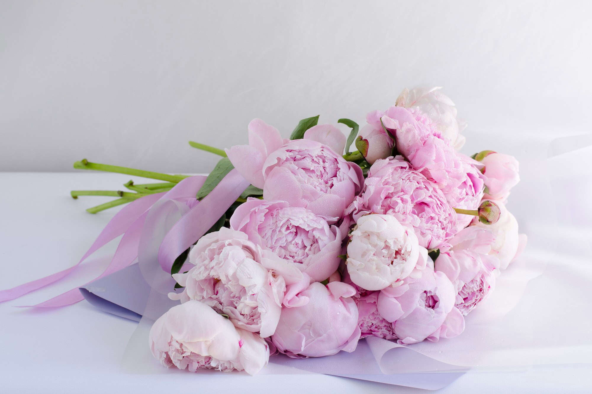 Peonies The Queen of Flowers and Their Role in Weddings
