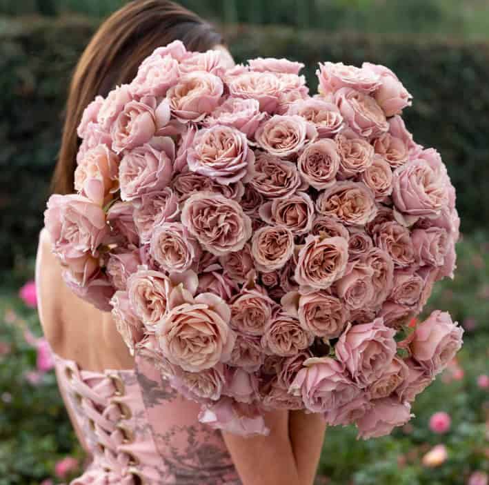 Spray Roses