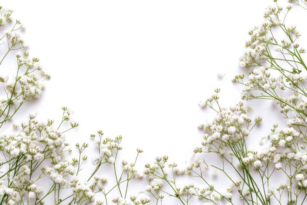 Baby’s Breath and the Beauty of Soft Things