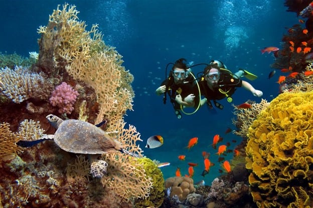 Honeymoon diving adventures in Amed, Bali