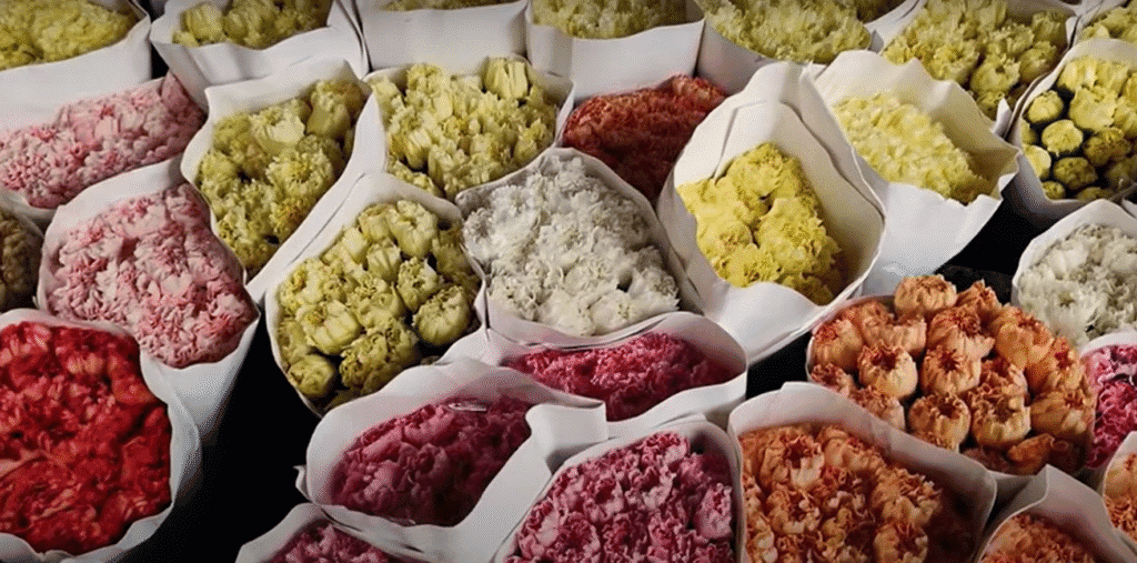 Fresh carnations displayed at Bangkok’s Pak Khlong Talat flower market